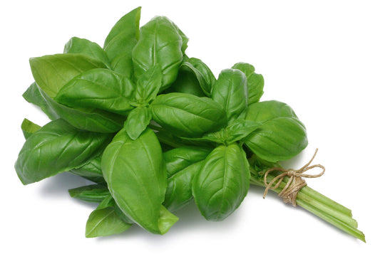 Fresh Basil 100g | Aromatic Herb | Nearly Naked Veg