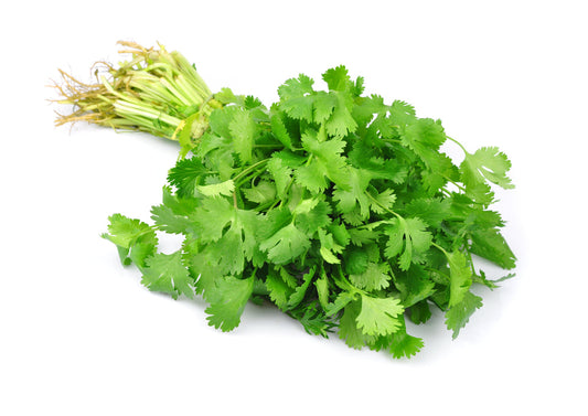 Fresh Coriander (100g)