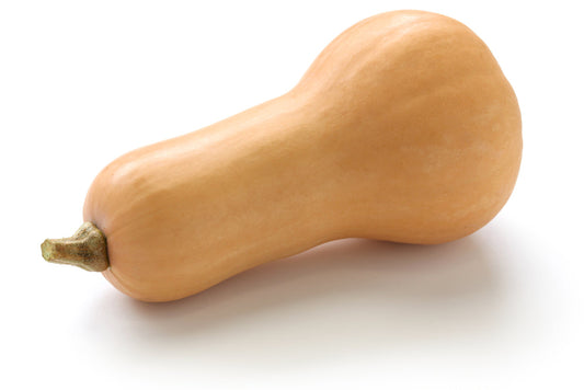 Butternut Squash – Fresh, Hand-Picked | Sold Individually