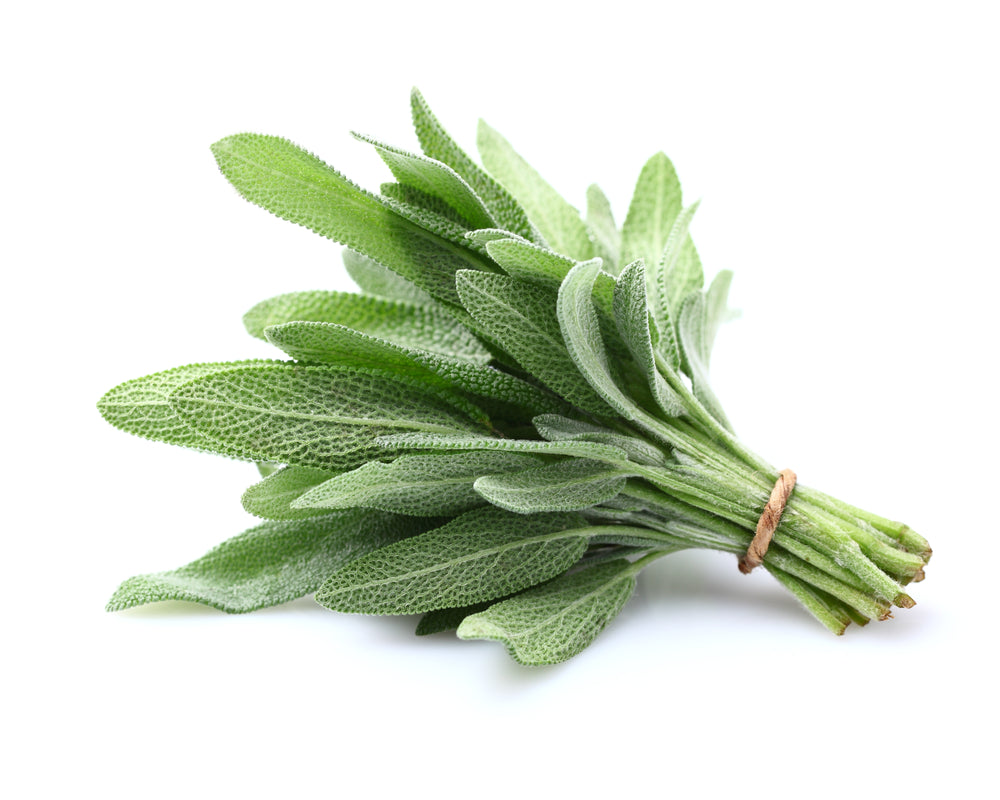 Salbei (100g)