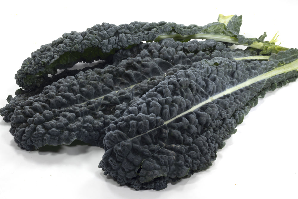 Fresh Cavolo Nero (Black Kale) - Individual Leaf