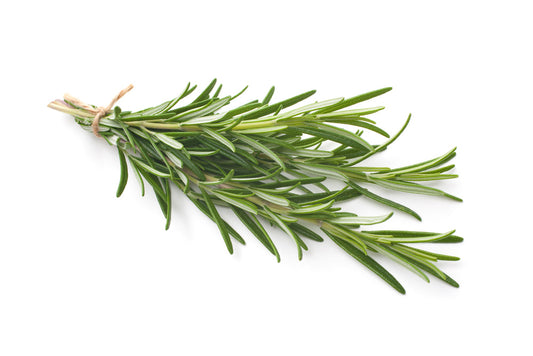 Dried Rosemary 100g | Premium Culinary Herb