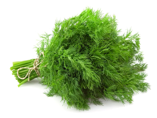 Fresh Dill – 100g