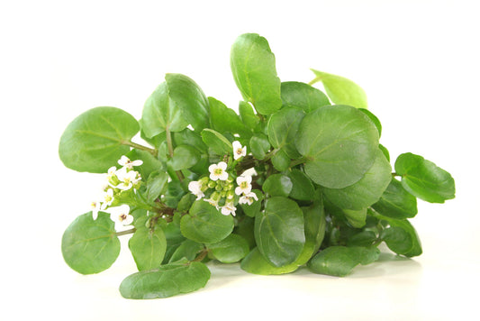 Fresh Watercress 100g | Hand-Picked, Locally Sourced | Nearly Naked Veg