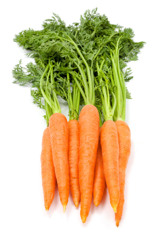 Bunched Carrots 500g | Fresh British Vegetables