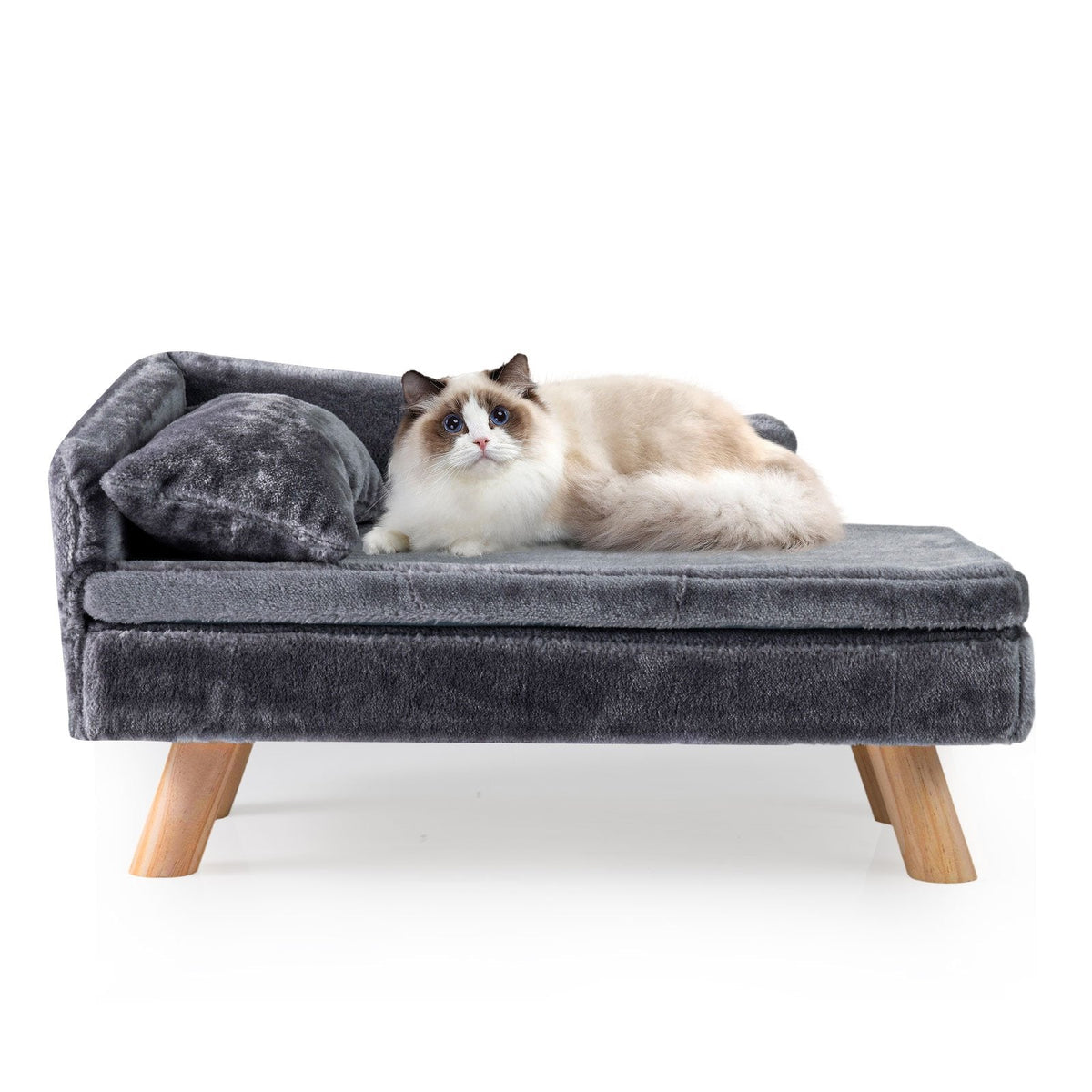 Elevated Pet Bed for Medium and Small Dogs Puppies Cats Kittens-Beige