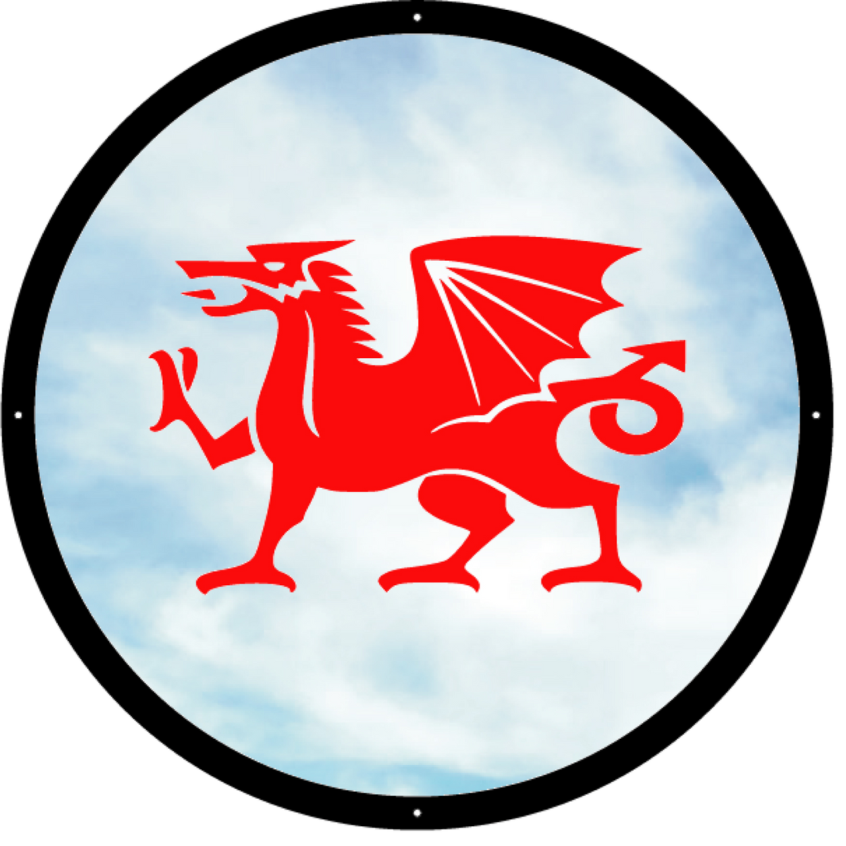 Welsh Dragon Garden Mirror