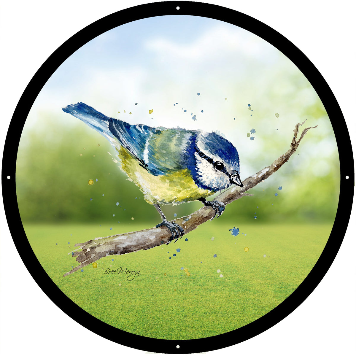 Blue Tit Garden Mirror