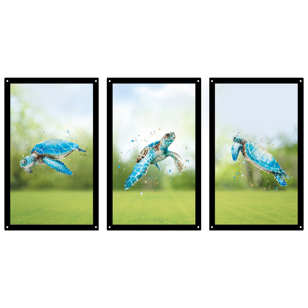 Turtle Tribe Mirror Set