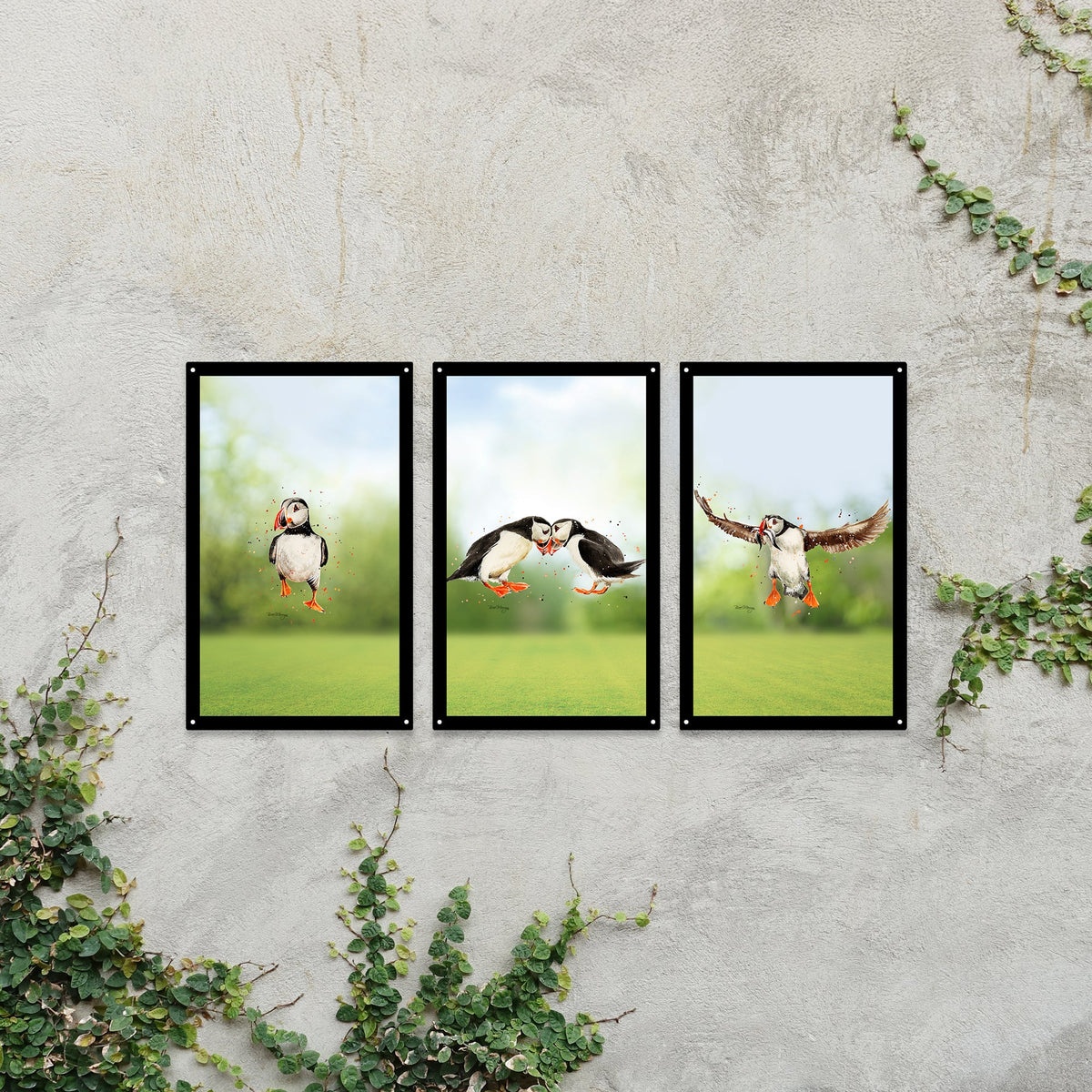 Puffin Parade Mirror Set