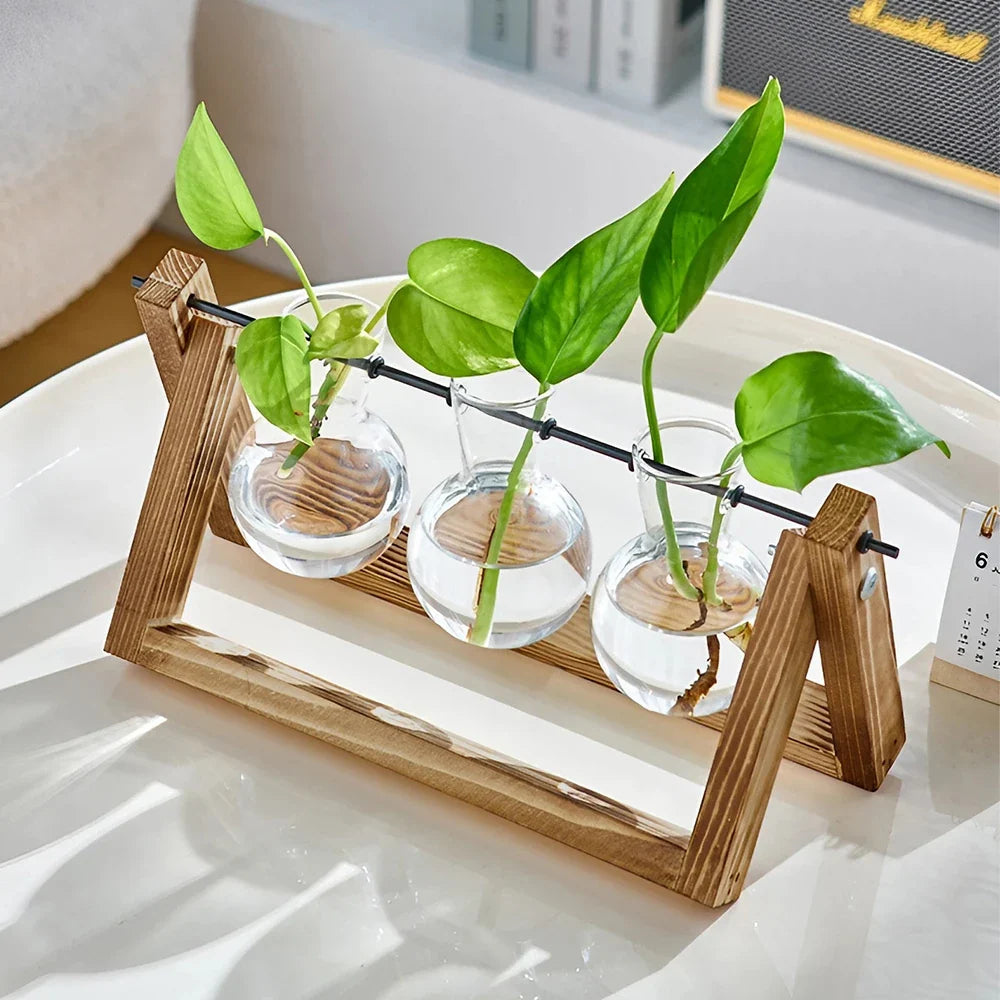 Glass Plant Terrarium Vase Set Wooden Base Hydroponic Bonsai Desktop Decor Flower Pot