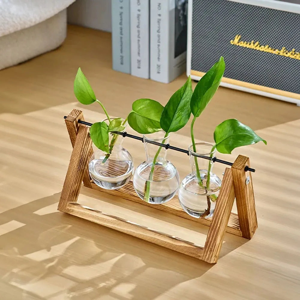 Glass Plant Terrarium Vase Set Wooden Base Hydroponic Bonsai Desktop Decor Flower Pot
