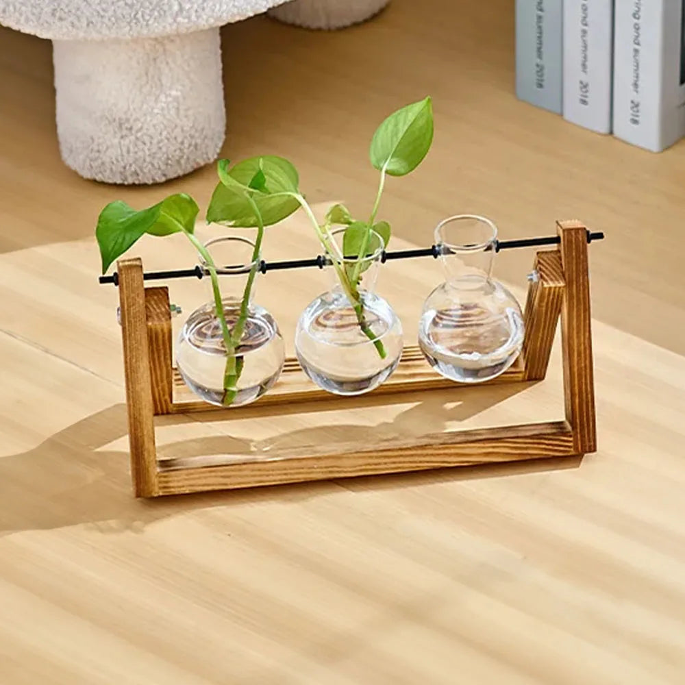 Glass Plant Terrarium Vase Set Wooden Base Hydroponic Bonsai Desktop Decor Flower Pot