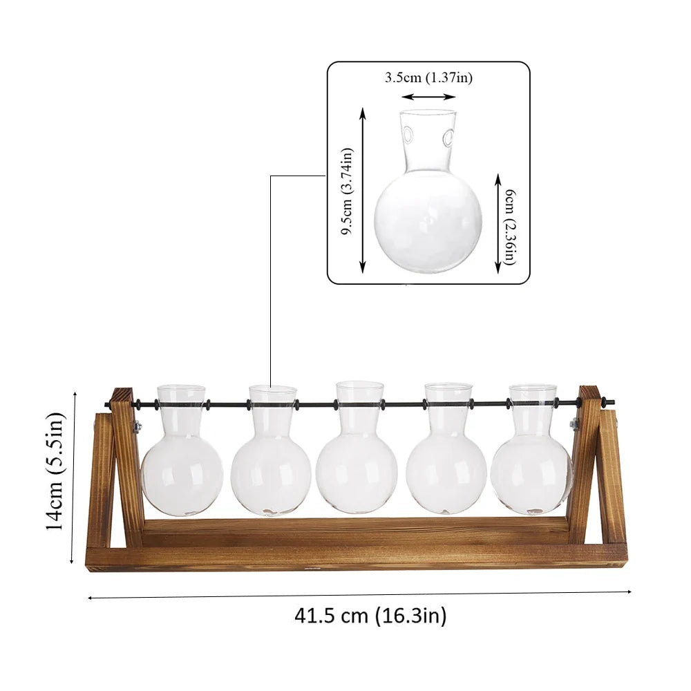 Glass Plant Terrarium Vase Set Wooden Base Hydroponic Bonsai Desktop Decor Flower Pot