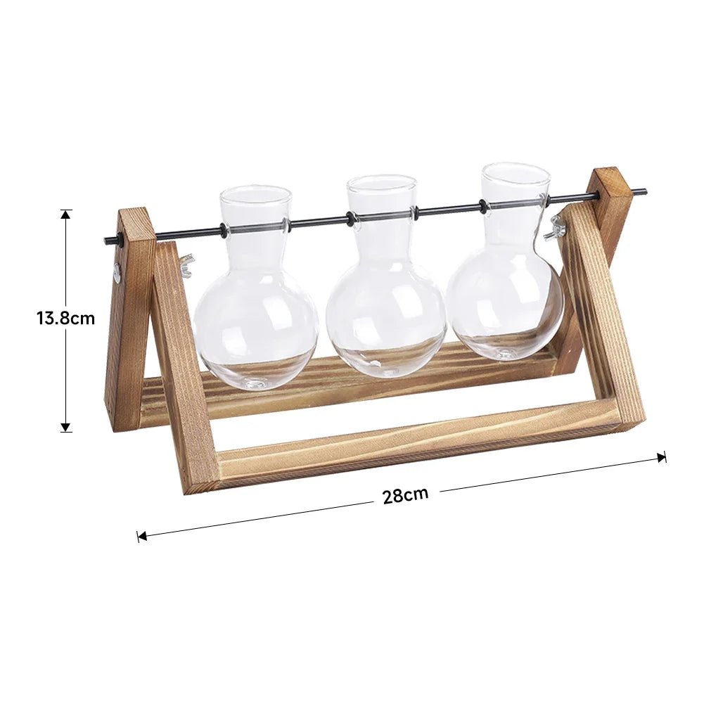 Glass Plant Terrarium Vase Set Wooden Base Hydroponic Bonsai Desktop Decor Flower Pot