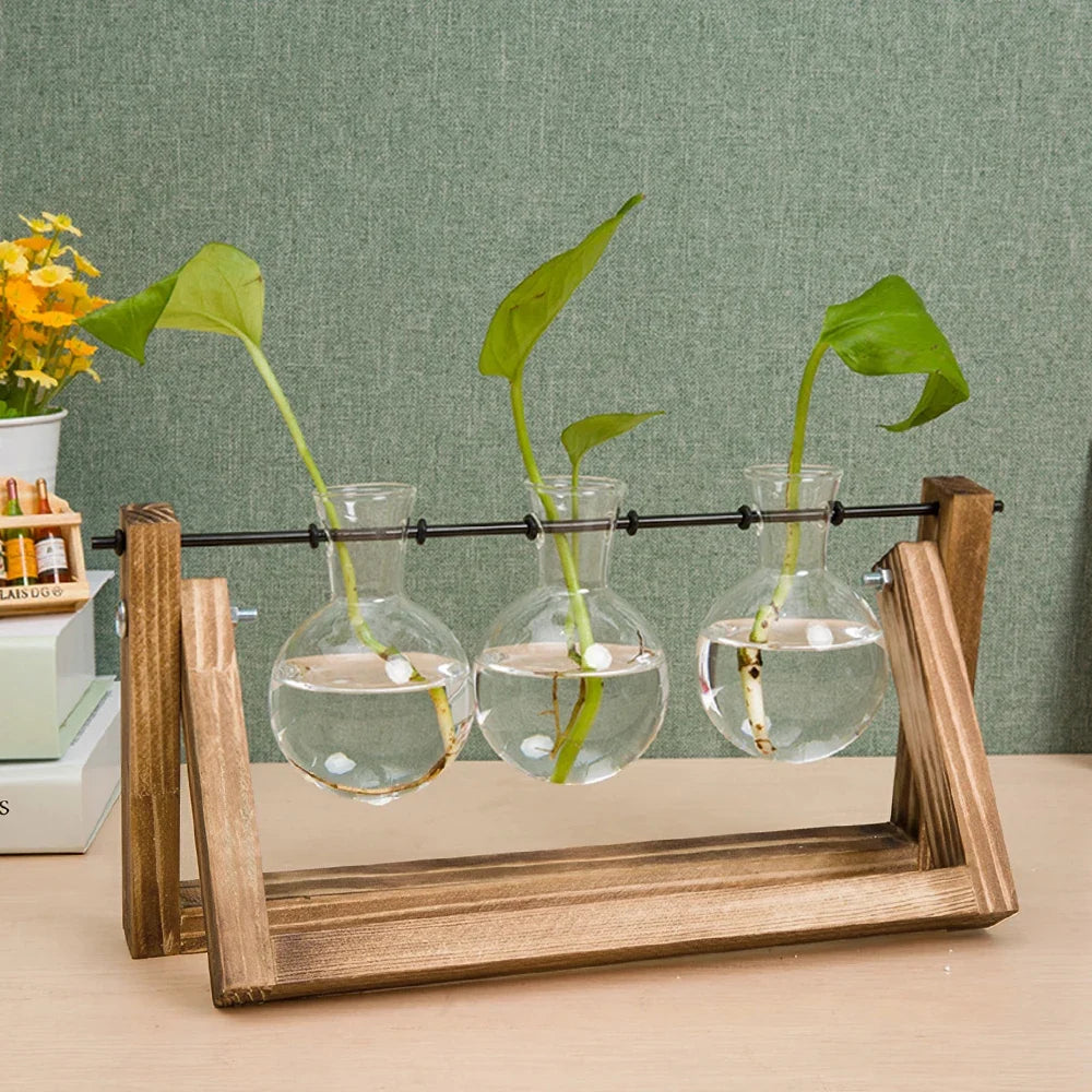 Glass Plant Terrarium Vase Set Wooden Base Hydroponic Bonsai Desktop Decor Flower Pot