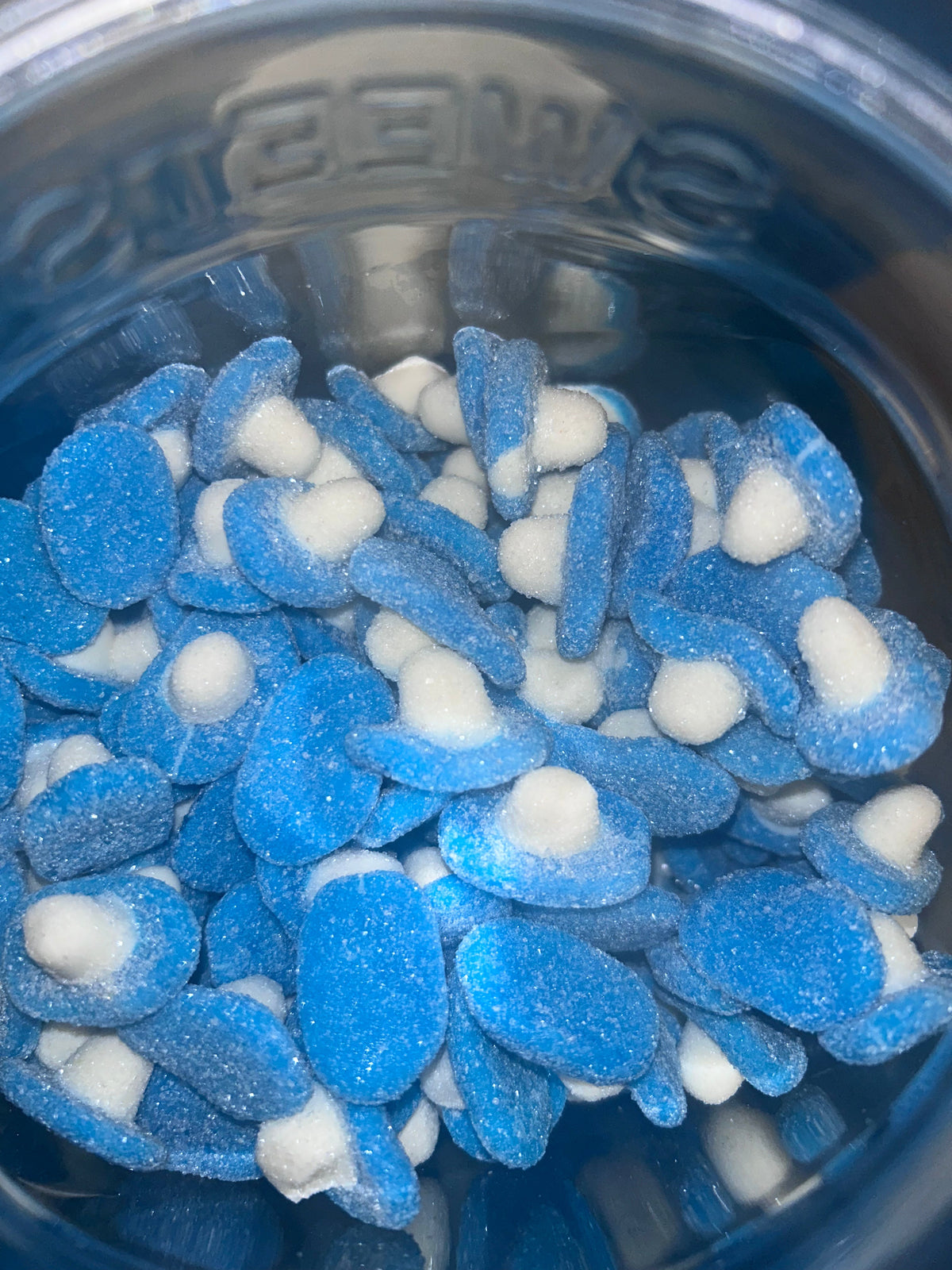 Brause-Blaue-Himbeer-Pilze