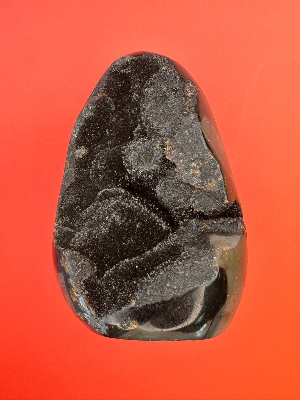 Septarian - Druzy free form