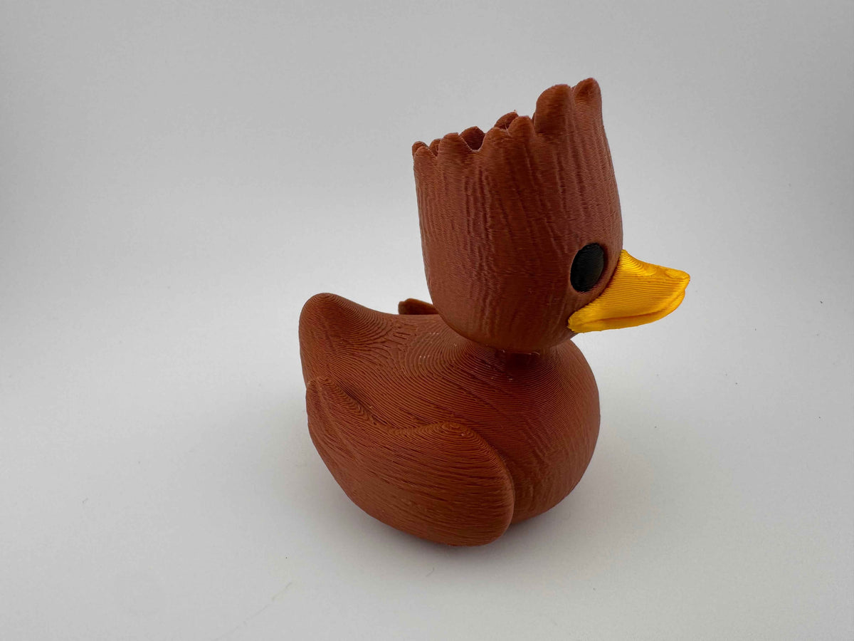 Character Ducks - Keeping a watchful eye