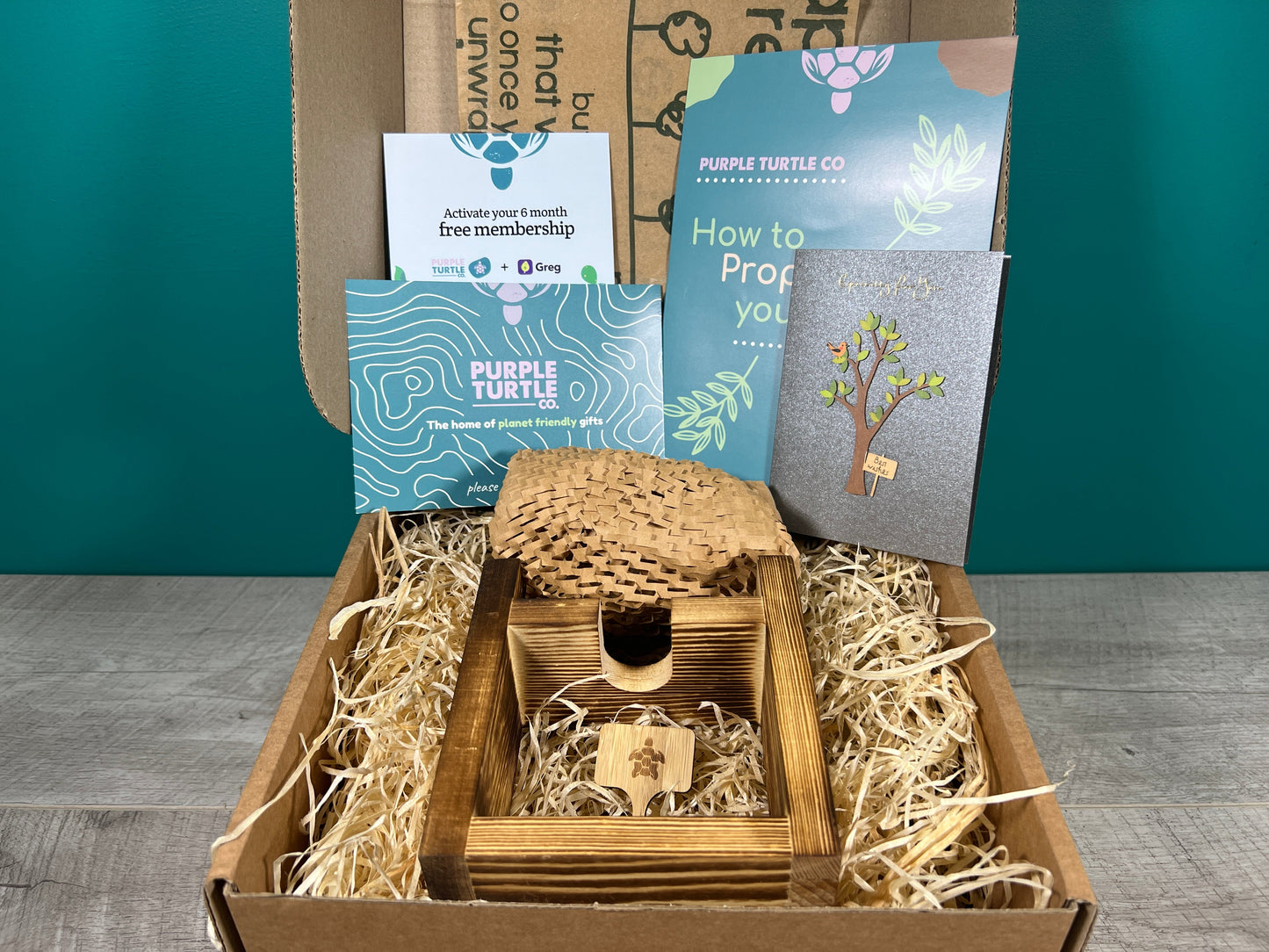Plant Propagation Station Gift Set | Glass Vases, Labels & Greg App Membership