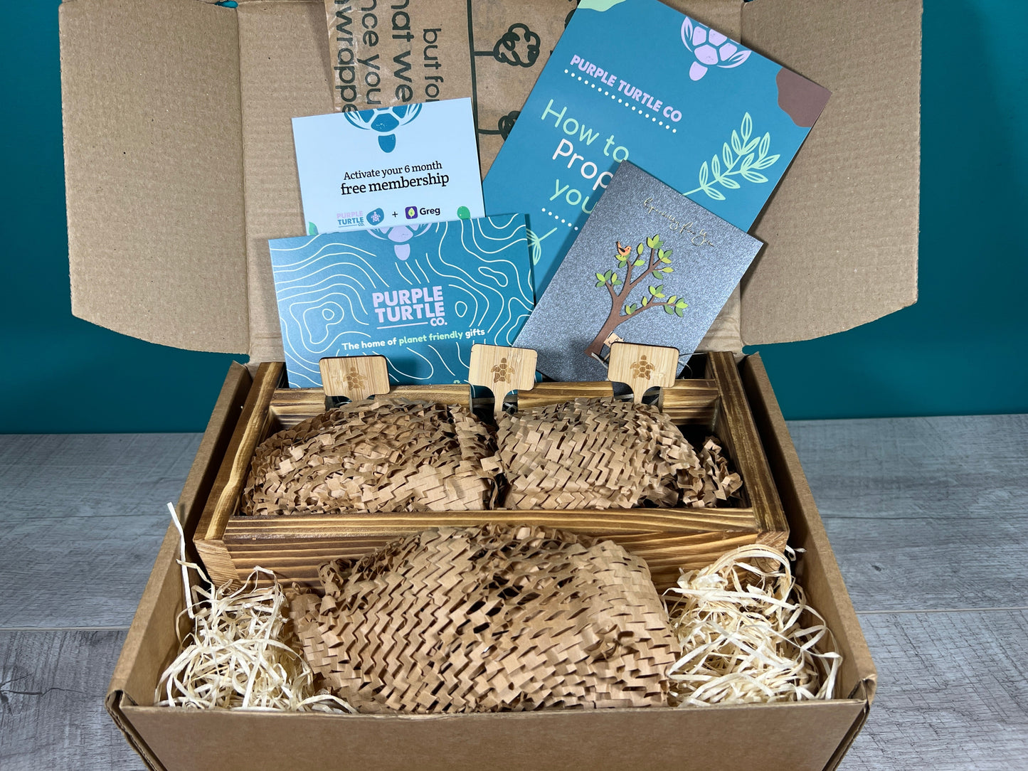 Plant Propagation Station Gift Set | Glass Vases, Labels & Greg App Membership