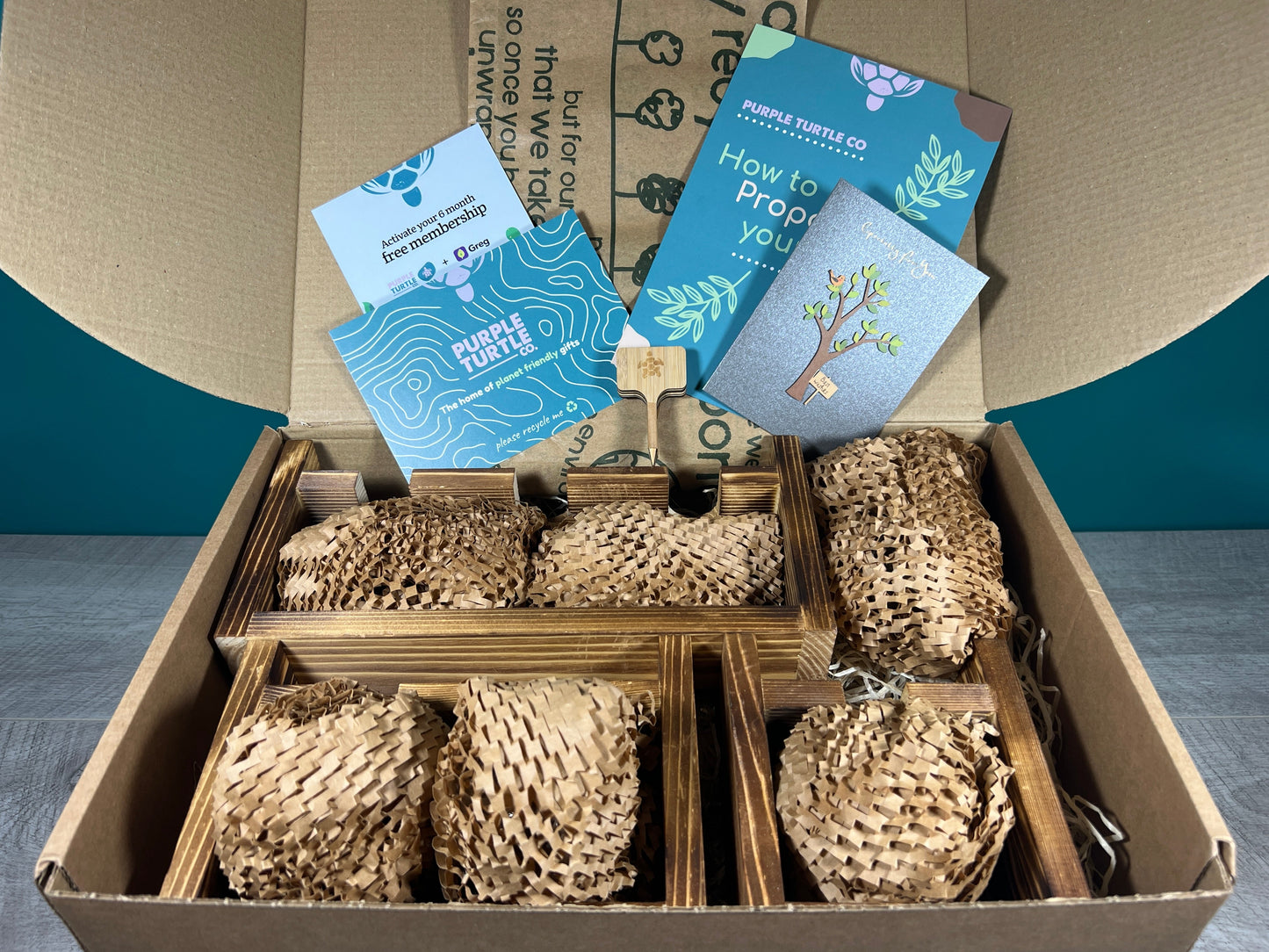Plant Propagation Station Gift Set | Glass Vases, Labels & Greg App Membership