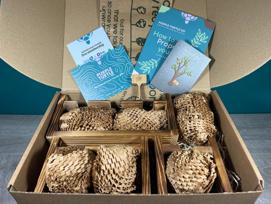 Plant Propagation Station Gift Set | Glass Vases, Labels & Greg App Membership