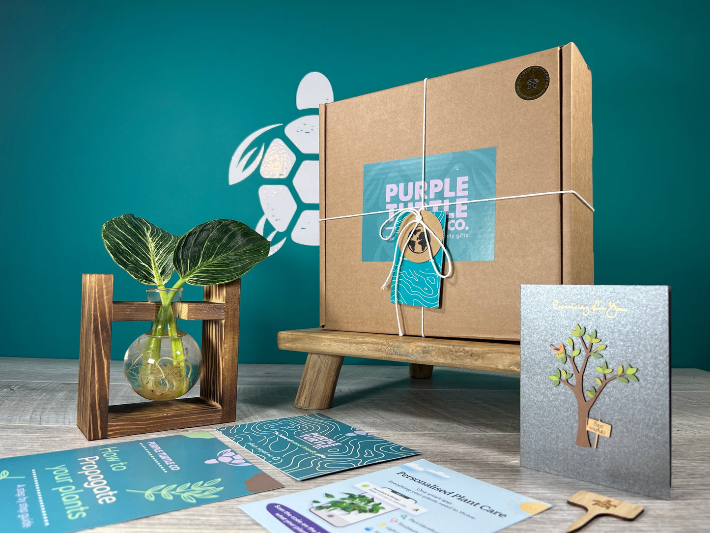 Plant Propagation Station Gift Set | Glass Vases, Labels & Greg App Membership