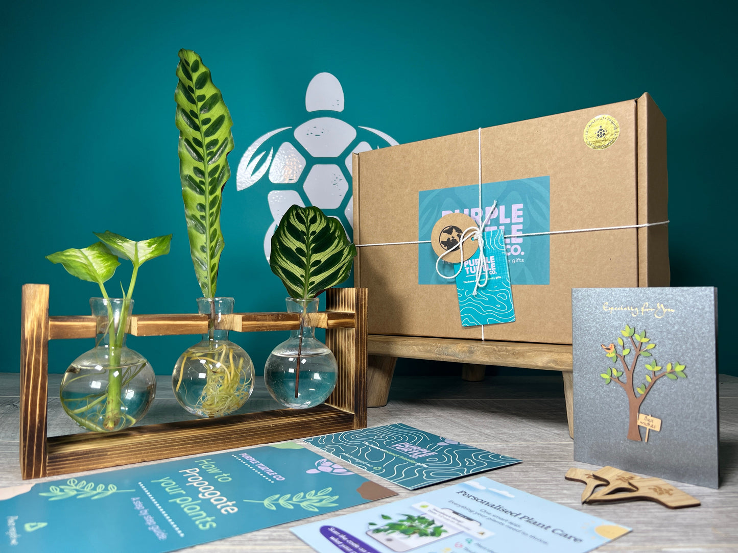 Plant Propagation Station Gift Set | Glass Vases, Labels & Greg App Membership