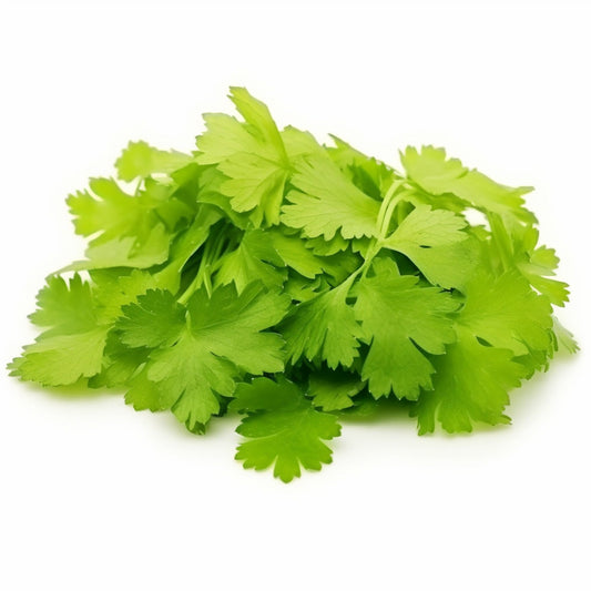 Micro Celery 30g | Fresh Microgreens | Nearly Naked Veg