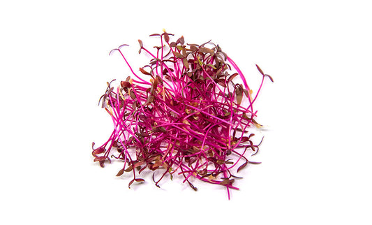 Micro Red Amaranth | Fresh Microgreens | 30g