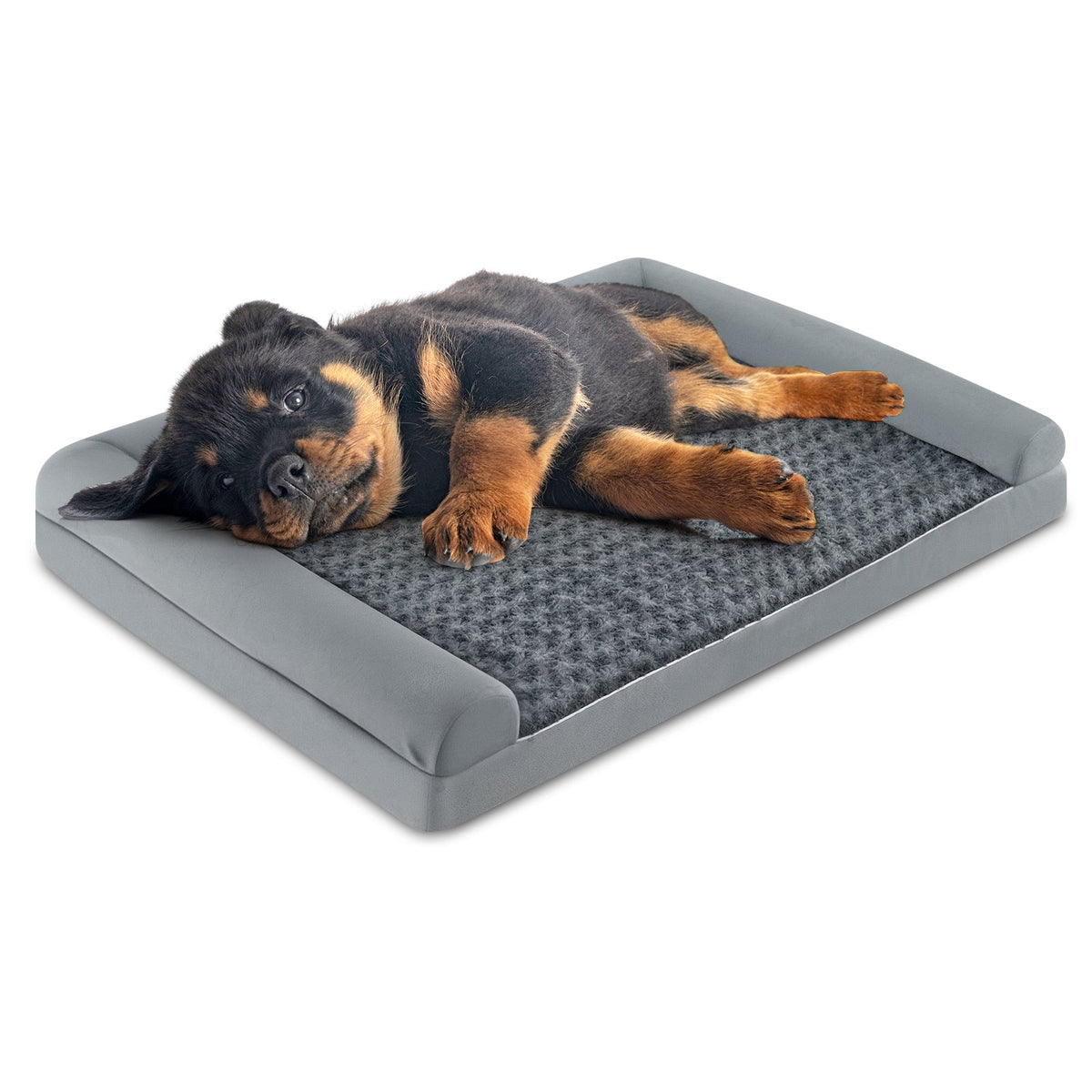 Orthopedic Foam Dog Bed L Sized Large Pet Bed-L