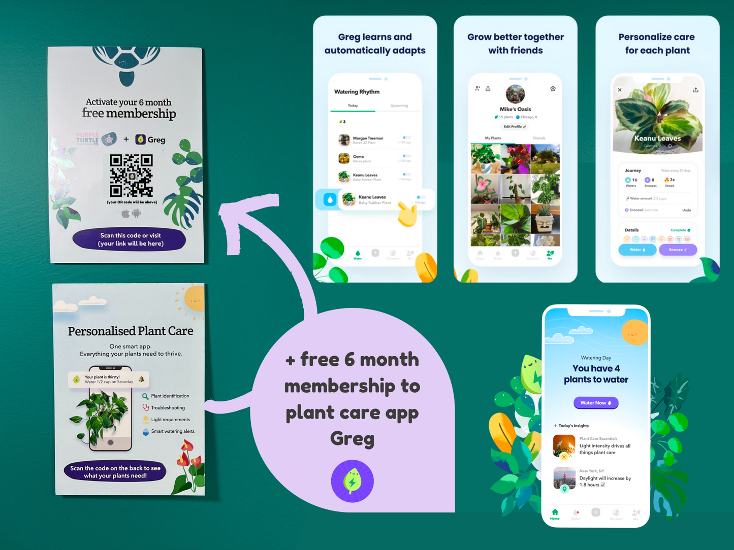 Plant Propagation Station Gift Set | Glass Vases, Labels & Greg App Membership