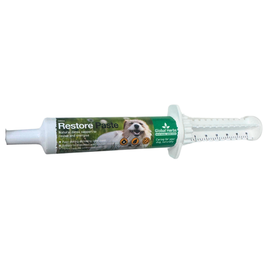 Herbal Supplement Paste for Dogs – 30ml