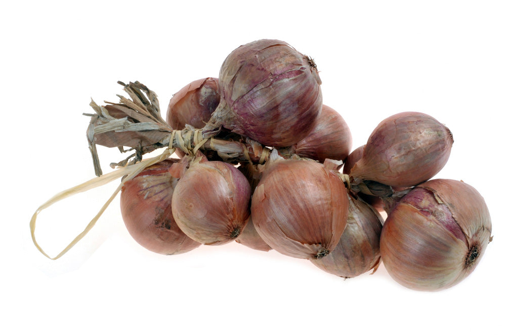 Roscoff-Zwiebeln (1 kg)