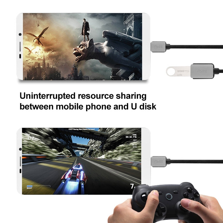 3 m geflochtenes USB-C-/Typ-C-3.1-Stecker-auf-USB-3.0-Stecker-Daten-/Ladekabel, 3 m