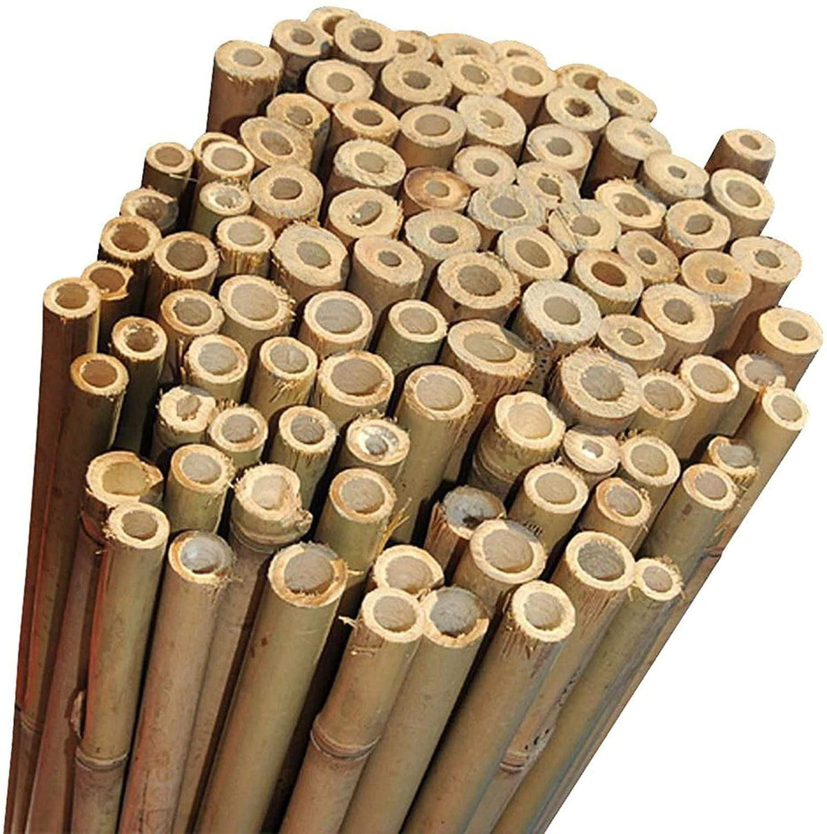 20 x 5FT Bamboo Canes 150 CM