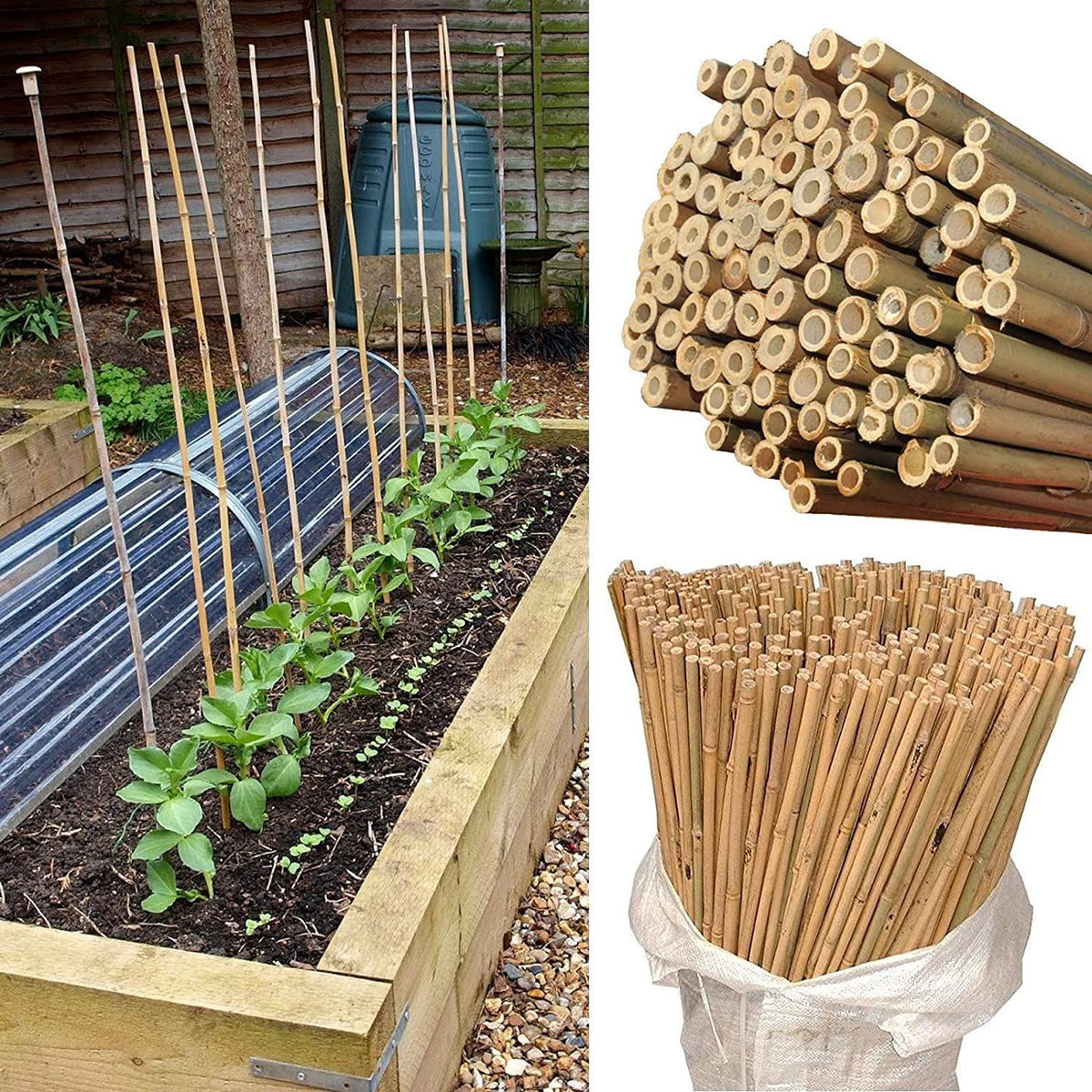 20 x 5FT Bamboo Canes 150 CM