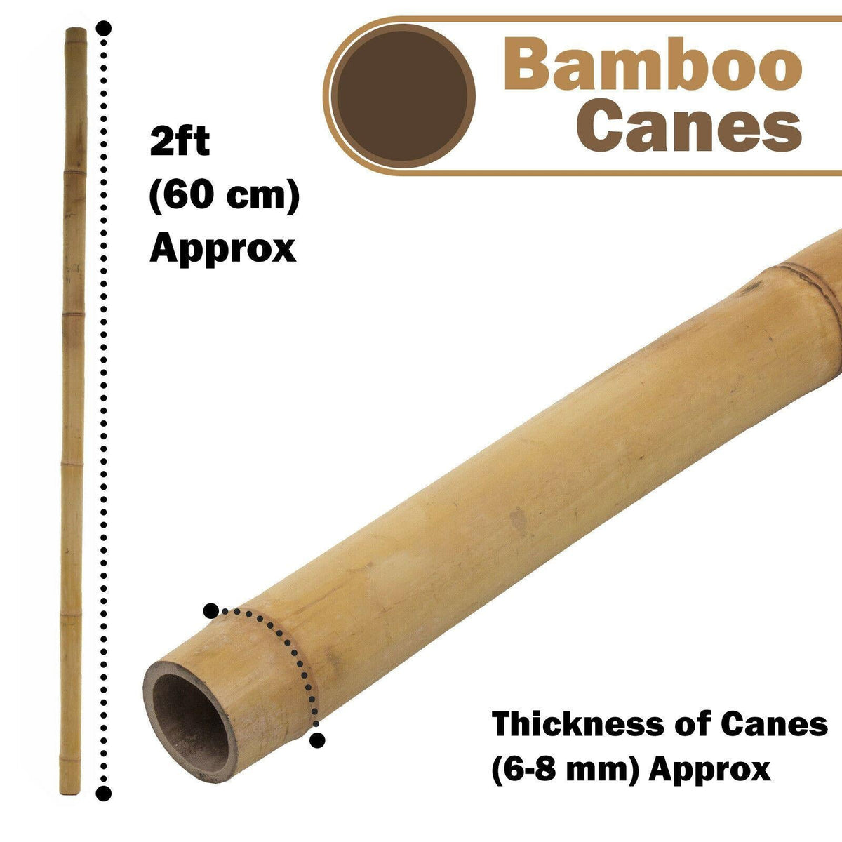 20 x 5FT Bamboo Canes 150 CM
