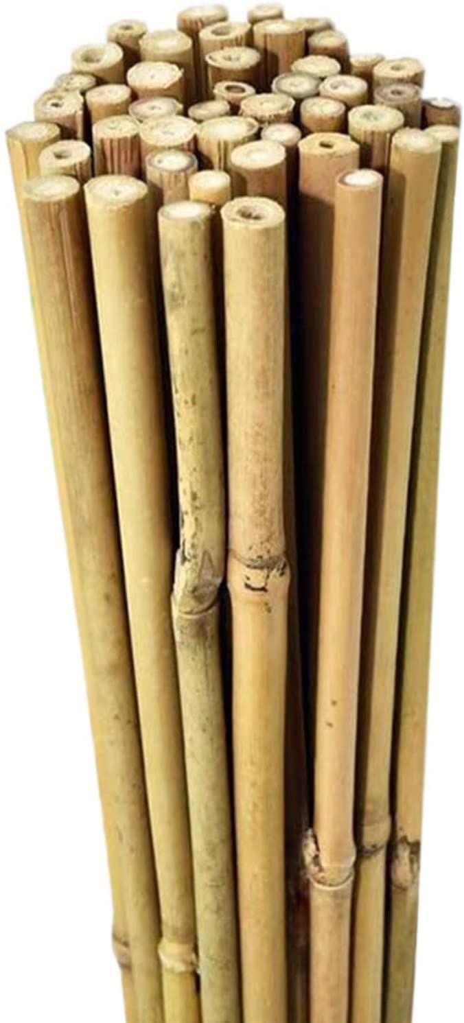 150 x 5FT Bamboo Canes 150 CM