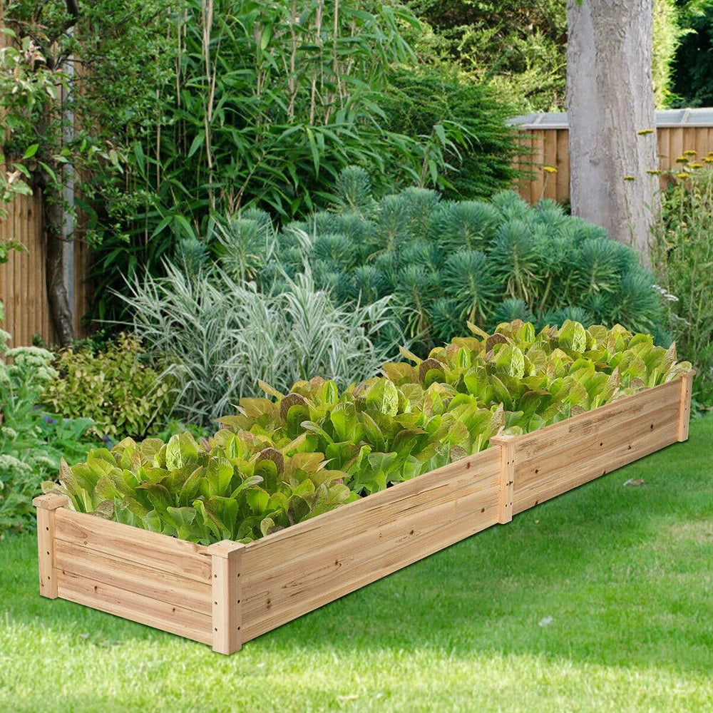Raised Garden Bed Kit – Large Wooden Outdoor Planter Box for Vegetables, Flowers & Herbs