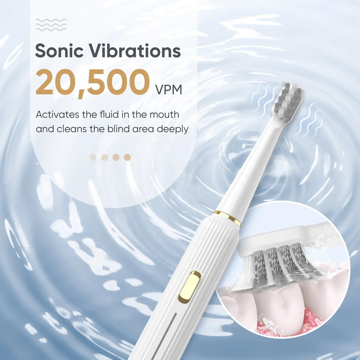 SEJOY Sonic Electric Toothbrush White Gold Rechargeable with 12 Brush Heads USB