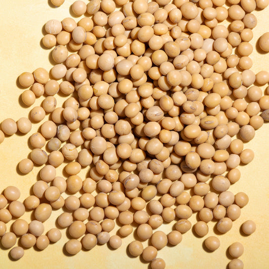 Habas de soja