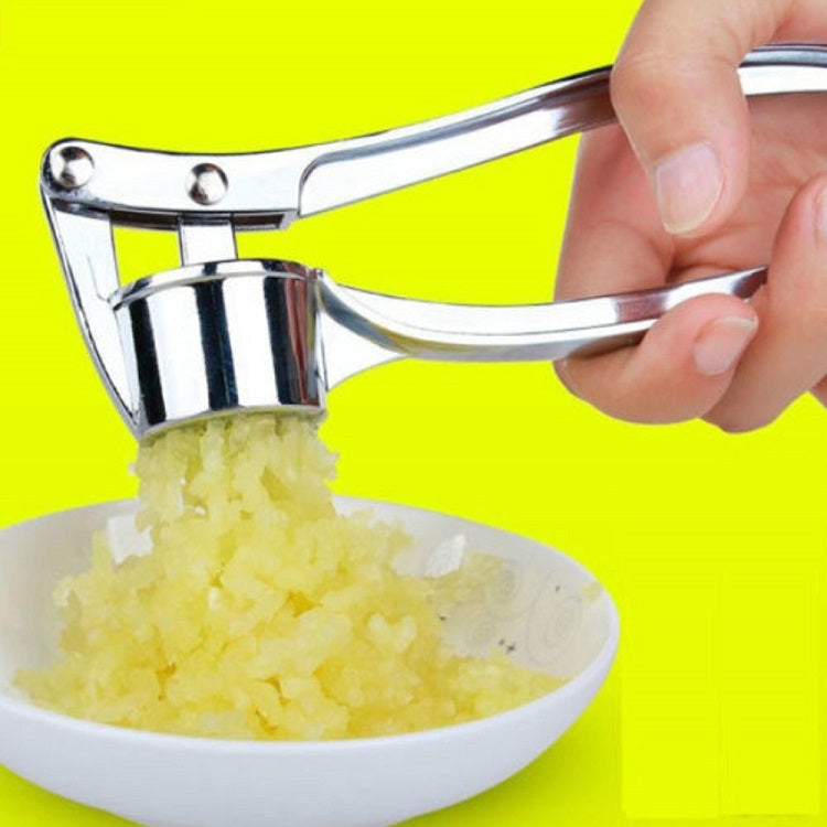 Stainless Steel Handheld Garlic Press & Ginger Crusher