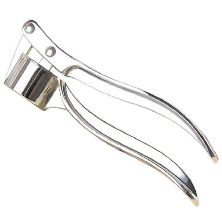 Stainless Steel Handheld Garlic Press & Ginger Crusher