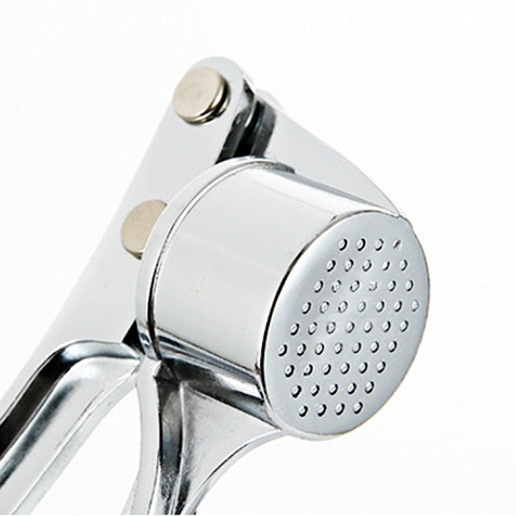 Stainless Steel Handheld Garlic Press & Ginger Crusher