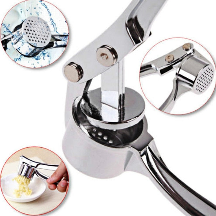 Stainless Steel Handheld Garlic Press & Ginger Crusher