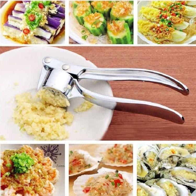 Stainless Steel Handheld Garlic Press & Ginger Crusher