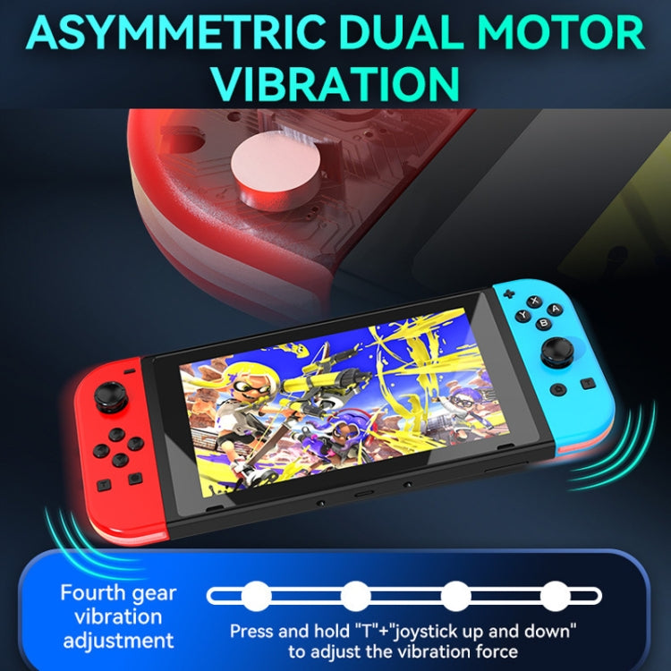 Nintendo Switch Bluetooth Gamepad mit RGB-Beleuchtung | JOY-02