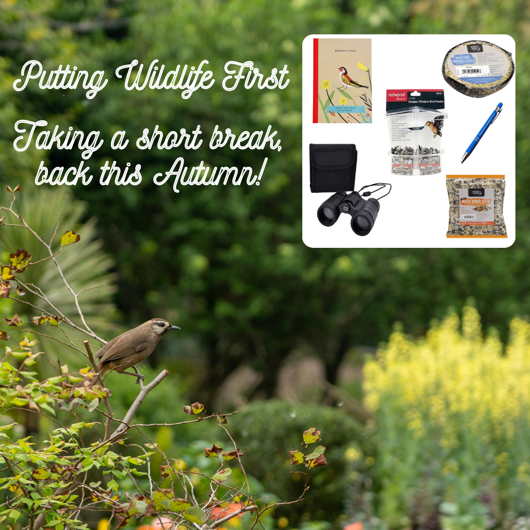 Bird & Wildlife Twitchers Scope